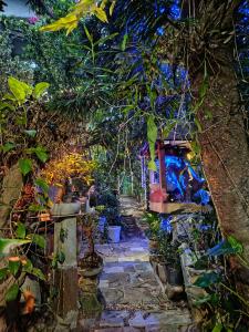 Cosmic Power Homestay & Cooking Class