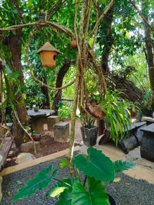 Cosmic Power Homestay & Cooking Class