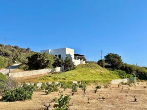 Villa Elyria HIdden Gem