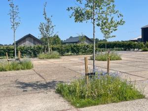 Gastenverblijf De Natureluur