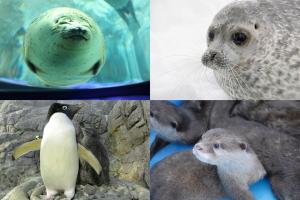 Lily 5min to Namba! Family 4BR, New Build, Free Parking