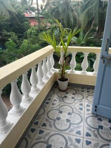 Aesthetic Apartment in NorthGoa