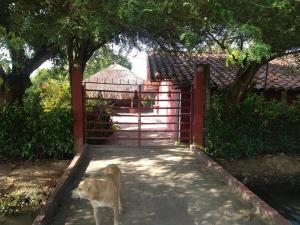 Estate with pool for 7 people in Roldanillo
