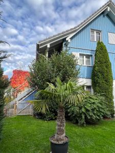 Apartment with charm and dream view