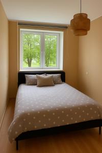 Apartment near city centre