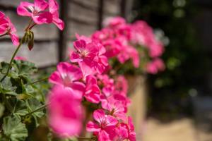 Modern 3 Bed Home with Garden and Parking