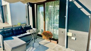 Domki Pasieka Domek D