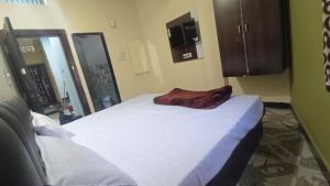 Hotel P Palace Near Near Shri Mahakaleshwar Jyotirlinga Temple - Fully Air Conditioned Rooms With Wi-fi - Free Parking Available - Luxuary Hotel In Ujjain