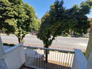M&D Apartment City Center