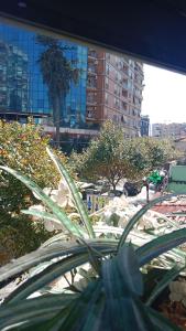 Arti House at Selvia