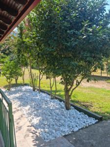 Small heaven of privacy and tranquility in Milies Stavros