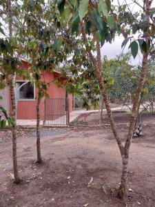 Recanto dos cardeais micro