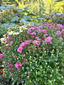 Guest house Hyrmet Demushi