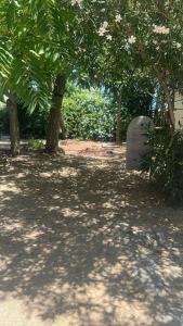 Appartamento fronte spiaggia