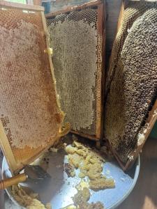 Guest house Hyrmet Demushi