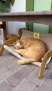 Baan Lek Tee 6 - Chinatown near Yaowarat and MRT