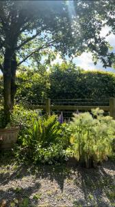 The Deckhouse, cabin with big deck nr Hay-on-Wye