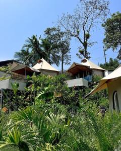 Dar Lamia Boutique Hotel