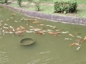 Anjung Seri Condo next Permas Jaya, Regency Hospital, jb ciq 15km - 4hvězdičkové hotely ve městě Masai