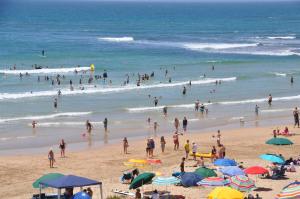 Main beachfront house Halleluja II, Buffalo Bay