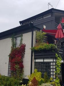 Studiolägenhet i villa