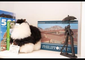 FS Apartments Kapana Boutique Family Stay