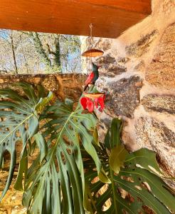 Casa de piedra, A Lameira