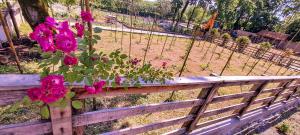 Mtrediani Wine Lodge