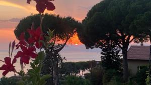 Sunrise Place Casa Vacanze
