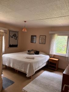 Mökki järvenrannalla