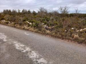 Nostalgic Island Idyll in Aâ land-By Traum