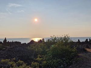 Nostalgic Island Idyll in Aâ land-By Traum