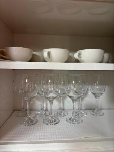 双椿Camellia House