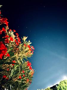 Casa A-Danieli img33