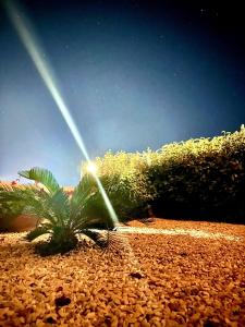 Casa A-Danieli img44