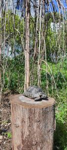 Granma Butik&Apart Otel