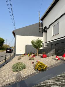 Refúgio Dourado - Ubytování bez kategorie ve městě Lourinhã