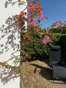 Casa Luisa Jardin 10 Condado de Alhama