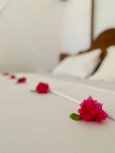 Ladha ya Zanzibar Premium Apartament