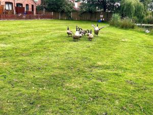 2 Bed in Happisburgh 88981