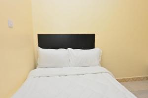 Two Bedroom Free Wi-Fi and Netflix in Nanyuki on your way to Ol Pejeta Conservancy