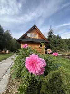 Chatka przy lesie Roztocze Szewnia Dolna 74 22-442