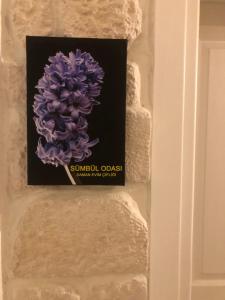 Saman Evim Çiftliği