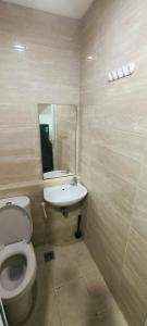 Springwood Modern Comfort Studio