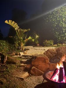 Nativo Natureza Pink Wood Cabin