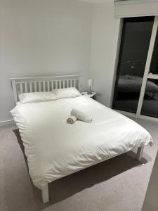 Luxury Apartments Pinnacle Apartments