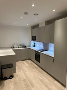 Luxury Apartments Pinnacle Apartments