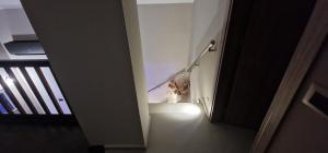 Cretan stars villas Hersonissos