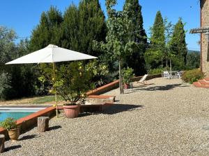 Bellosguardo Farm house in olive groves - San Donato Fronzano, Florence, Toscany