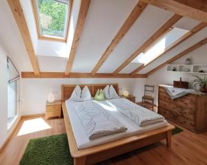 Apartment Schmetterling